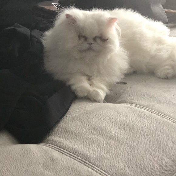 Meet your Posher, Am - Picture 1 of 1